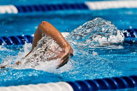 Skyline Swimming Dives Into A New Year