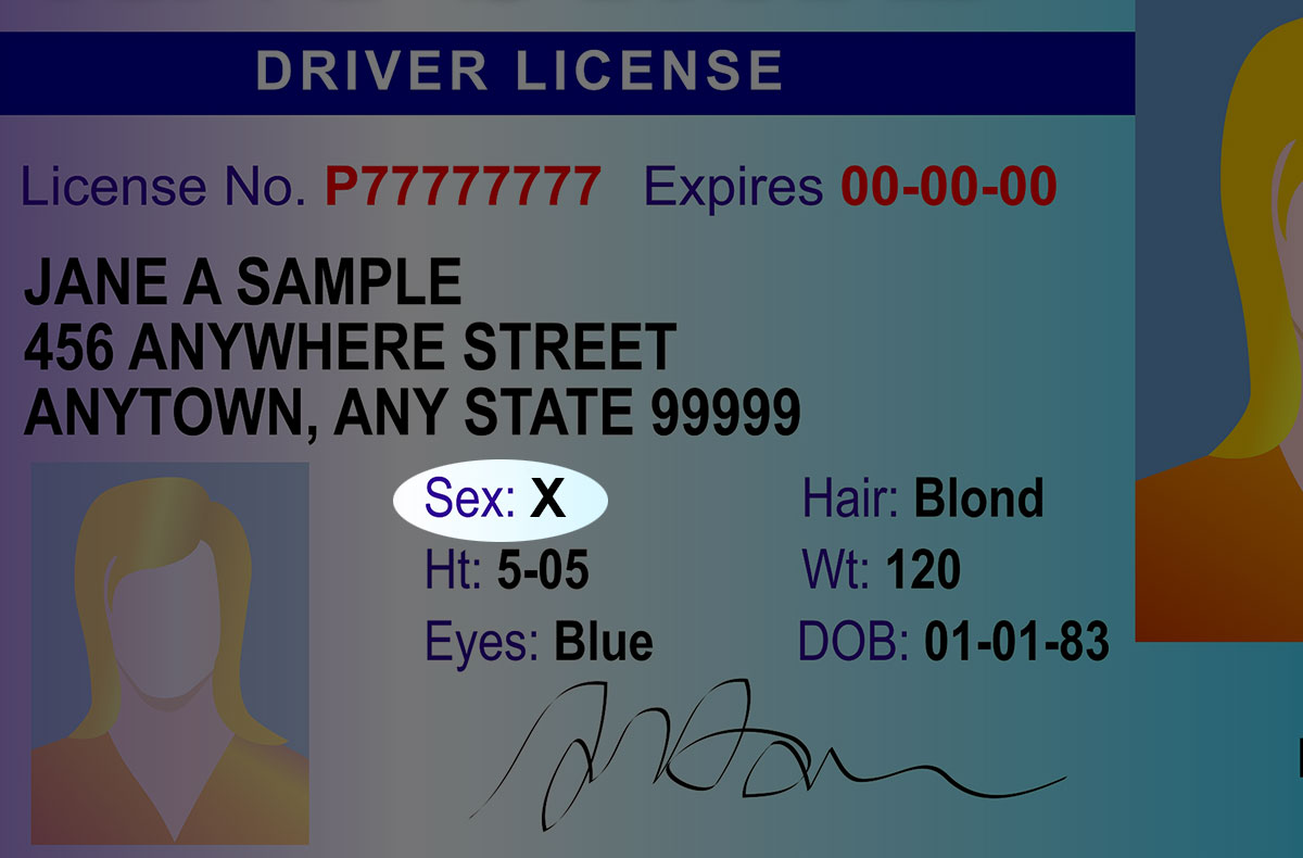 The Skyline Horizon Non Binary State Issued Licenses 8642