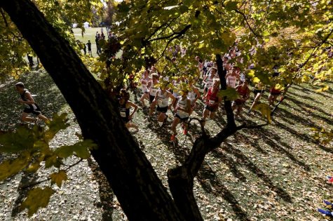 Skyline Cross Country Runs Into Third and Twelfth Place