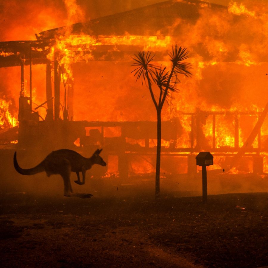 Fires Destroy Billions of Acres In Australia